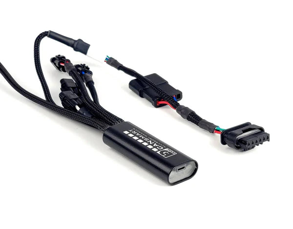 Denali - CANsmart™ GEN II Controlador - BMW R130GS/GSA